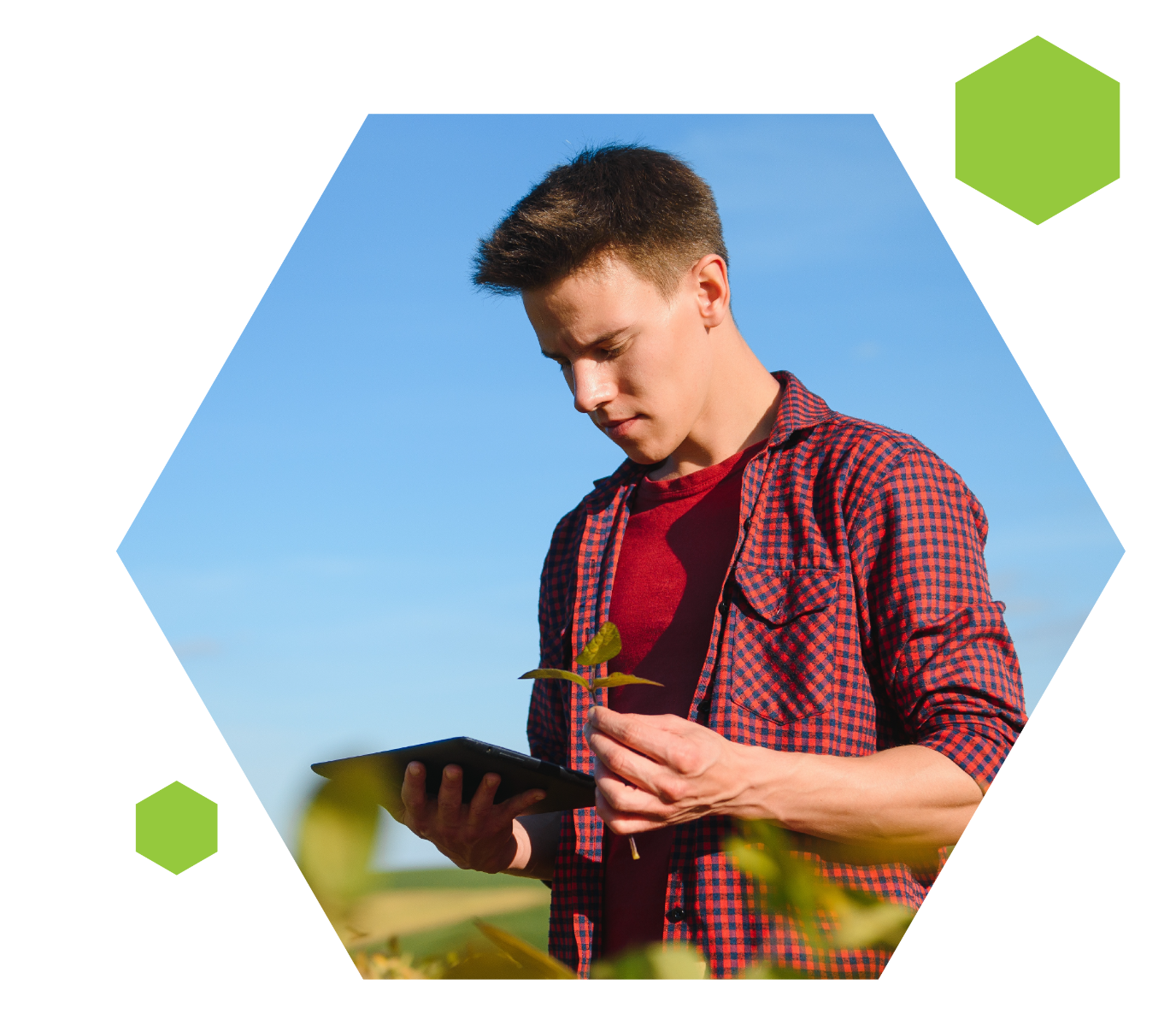 Polygon mask with man and tablet in field