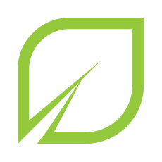 Hybrid leaf icon